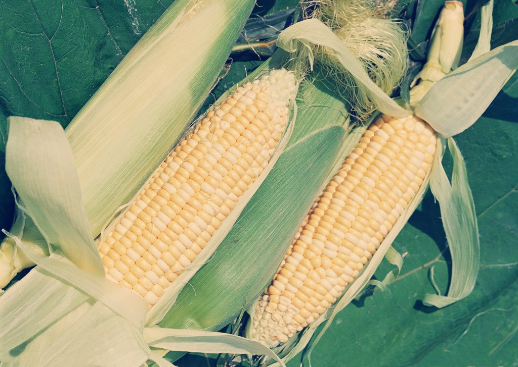 鱼糜.jpg 鱼糜.jpg